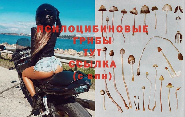 герыч Алексеевка