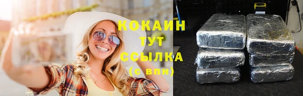 сатива Алзамай